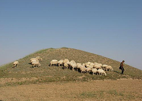 阳高县古城堡汉墓群