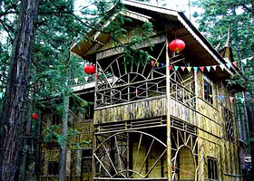 赫章国家森林公园