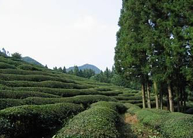 乐安邑城民俗村