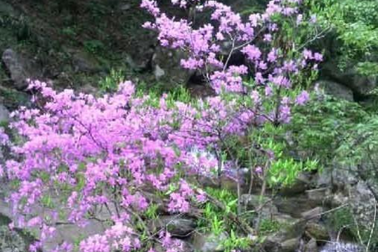 大汉桥风景区旅游