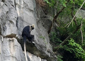 陇瑞自然保护区