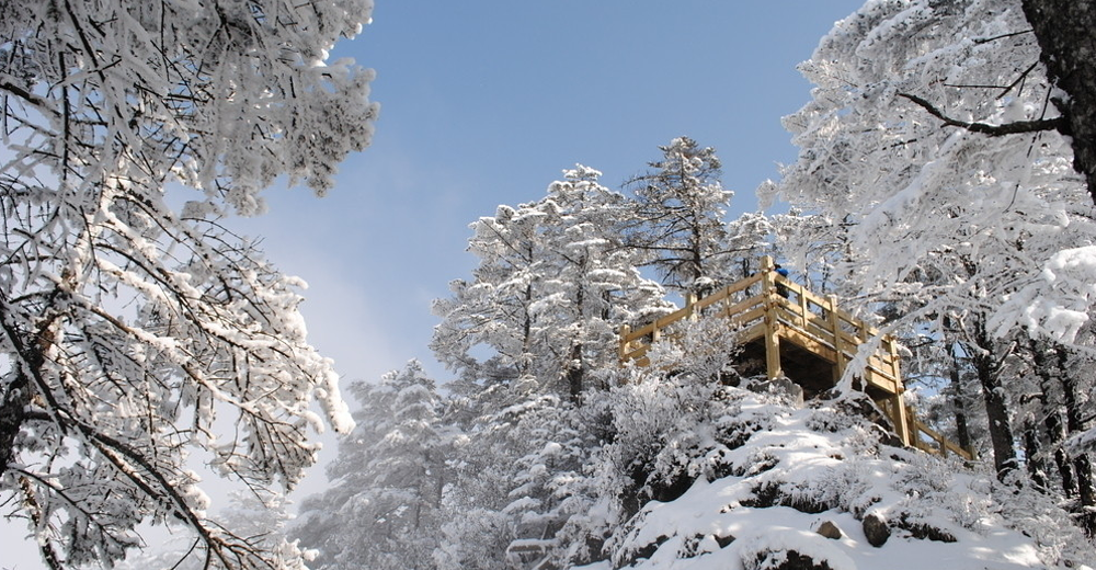 西岭雪山套票(门票 日月坪索道往返 鸳鸯池索道往返)