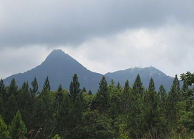 杨莫岭森林公园