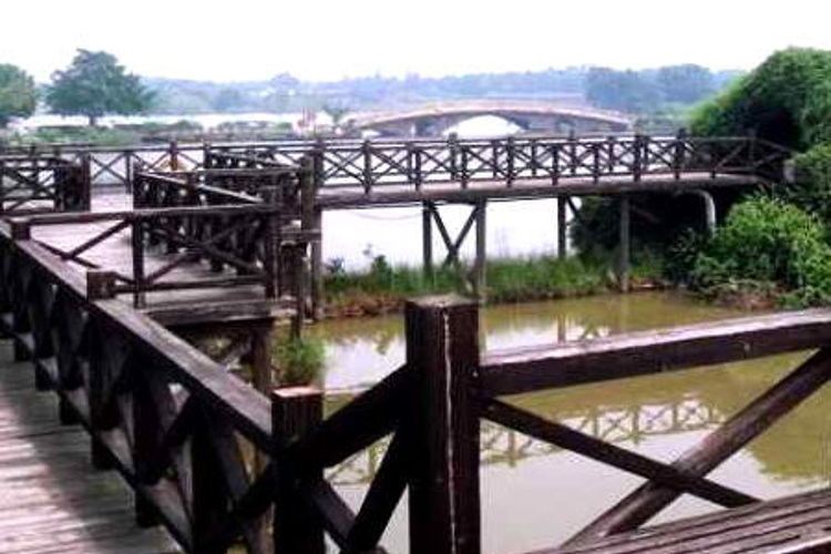 基塘田园景区旅游