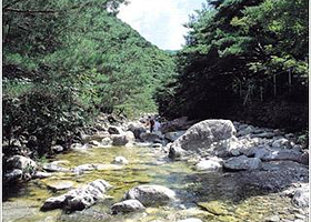 白云洞溪谷