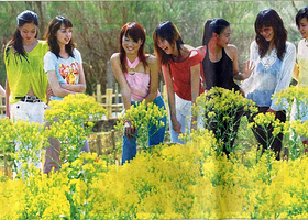 沙漠生态旅游风景区