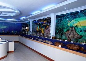 西沙海洋博物馆