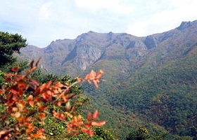 迦智山道立公园