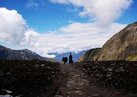 丙中洛茶马驿道