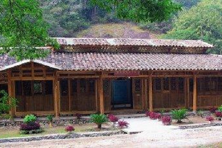 兰花文化展示厅旅游