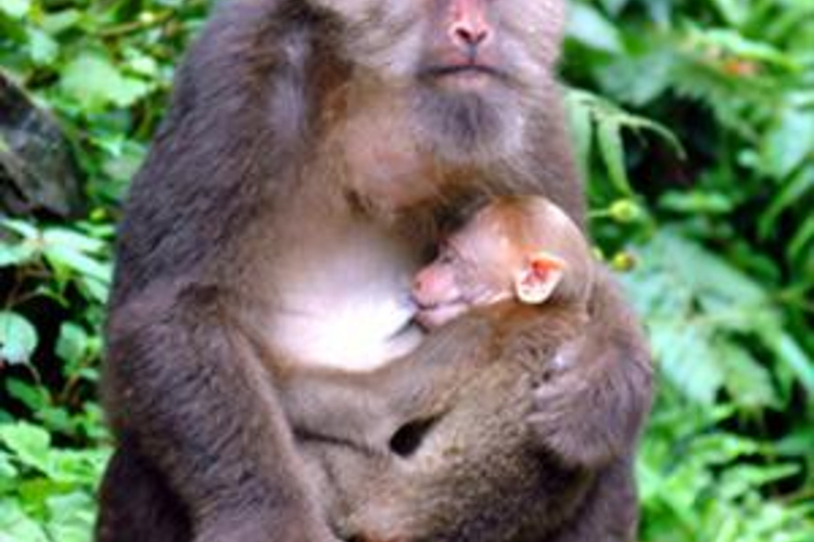 野生动物区旅游