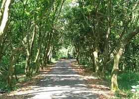 溪州山登山步道