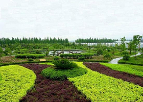 长河农业科技园区