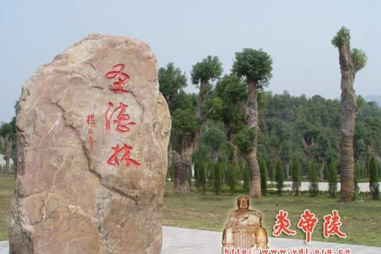 炎帝陵圣德林旅游