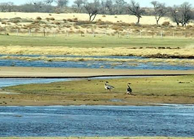 三河湿地自然保护区