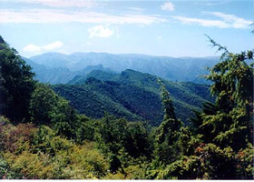 老县城自然保护区