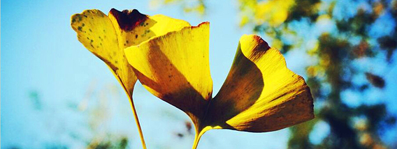 韶关赏秋好去处