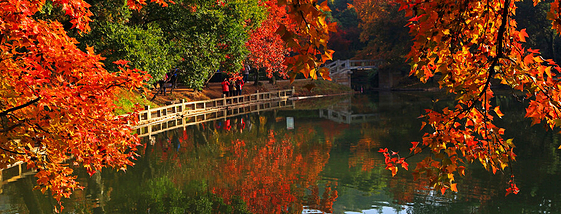 苏州自驾赏秋