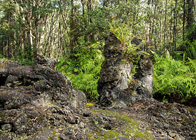 州立熔岩树公园