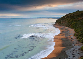黄眼企鹅登陆地