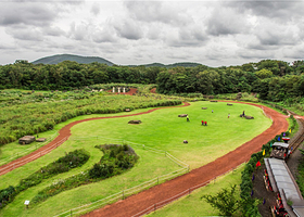 生态乐园高尔夫度假村