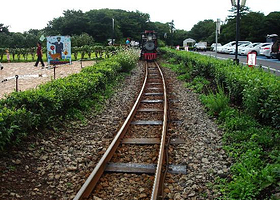 济州森林小火车生态公园