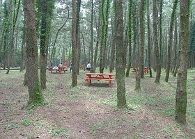 寺水自然修养林