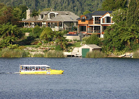 罗托鲁瓦鸭旅游