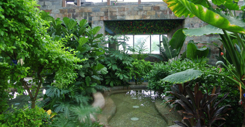 威海乳山小汤温泉成人票