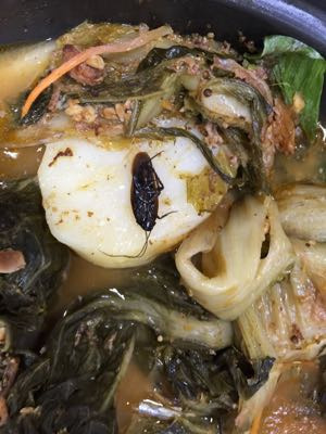 投诉导游不买东西骂客户,吃到蟑螂说是因为团