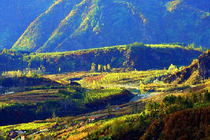 【2016国信南山温泉旅游】国信南山温泉旅游