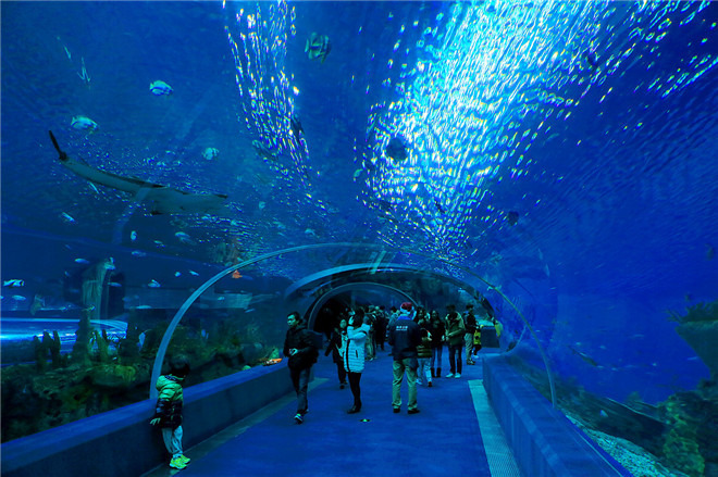 【省内游·亲子游主推产品】广州往返 世界级