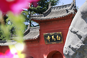 白马寺+洛阳博物馆+龙门石窟一日游【20人团◆博物馆免预约（非法定假日）】