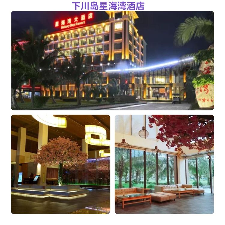 【自由行】江门台山下川岛星海湾酒店1晚含往返船票 上岛接驳车票