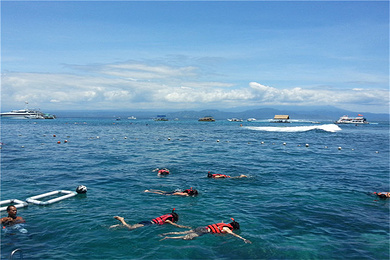 网红打卡 巴厘岛蓝梦岛 佩尼达岛双岛浮潜一日游~中文导游 酒店专车